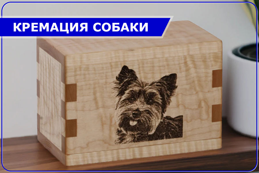 Кремация собаки